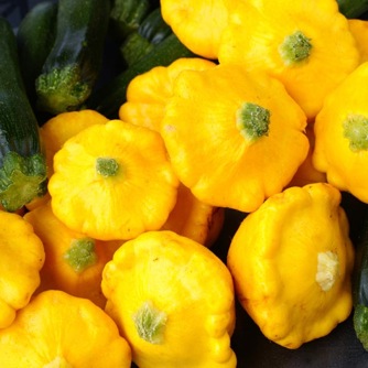 Image of Squash Summer, Sunburst Pattypan