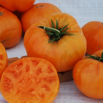 Image of Tomato Heirloom, Kellogg’s Breakfast